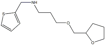 [3-(oxolan-2-ylmethoxy)propyl](thiophen-2-ylmethyl)amine Struktur