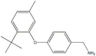 [4-(2-tert-butyl-5-methylphenoxy)phenyl]methanamine Struktur