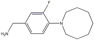 [4-(azocan-1-yl)-3-fluorophenyl]methanamine Struktur