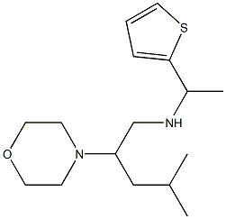 [4-methyl-2-(morpholin-4-yl)pentyl][1-(thiophen-2-yl)ethyl]amine Struktur