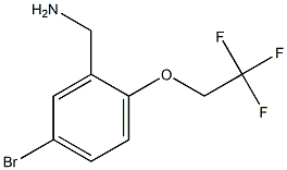 [5-bromo-2-(2,2,2-trifluoroethoxy)phenyl]methanamine Struktur