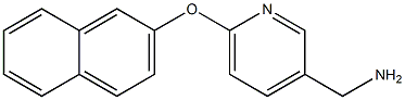 [6-(2-naphthyloxy)pyridin-3-yl]methylamine Struktur