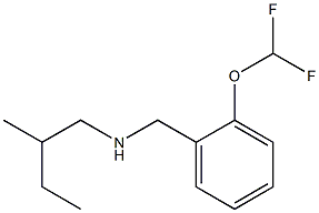 {[2-(difluoromethoxy)phenyl]methyl}(2-methylbutyl)amine Struktur