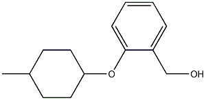 {2-[(4-methylcyclohexyl)oxy]phenyl}methanol Struktur