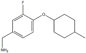 {3-fluoro-4-[(4-methylcyclohexyl)oxy]phenyl}methanamine Struktur