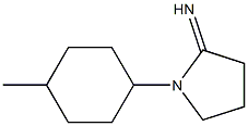 1-(4-methylcyclohexyl)pyrrolidin-2-imine Struktur