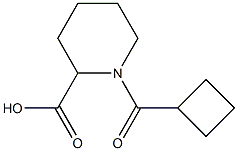 1-(cyclobutylcarbonyl)piperidine-2-carboxylic acid Struktur