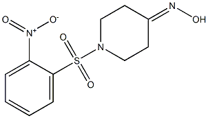 1-[(2-nitrophenyl)sulfonyl]piperidin-4-one oxime Struktur