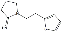 1-[2-(thiophen-2-yl)ethyl]pyrrolidin-2-imine Struktur