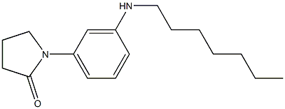 1-[3-(heptylamino)phenyl]pyrrolidin-2-one Struktur