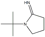 1-tert-butylpyrrolidin-2-imine Struktur