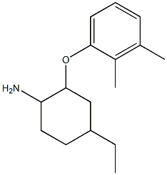 2-(2,3-dimethylphenoxy)-4-ethylcyclohexan-1-amine Struktur