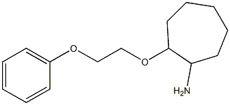 2-(2-phenoxyethoxy)cycloheptan-1-amine Struktur