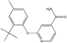 2-(2-tert-butyl-4-methylphenoxy)pyridine-4-carbothioamide Struktur