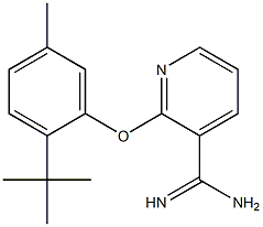 2-(2-tert-butyl-5-methylphenoxy)pyridine-3-carboximidamide Struktur