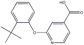 2-(2-tert-butylphenoxy)pyridine-4-carboxylic acid Struktur