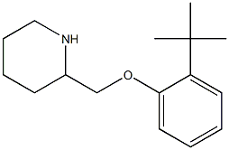 2-(2-tert-butylphenoxymethyl)piperidine Struktur