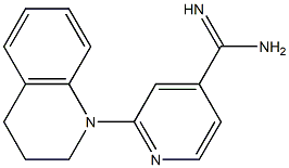 2-(3,4-dihydroquinolin-1(2H)-yl)pyridine-4-carboximidamide Struktur