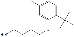 2-(4-aminobutoxy)-1-tert-butyl-4-methylbenzene Struktur