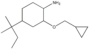 2-(cyclopropylmethoxy)-4-(2-methylbutan-2-yl)cyclohexan-1-amine Struktur