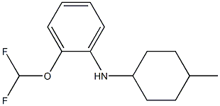 2-(difluoromethoxy)-N-(4-methylcyclohexyl)aniline Struktur