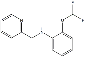 2-(difluoromethoxy)-N-(pyridin-2-ylmethyl)aniline Struktur