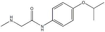 2-(methylamino)-N-[4-(propan-2-yloxy)phenyl]acetamide Struktur