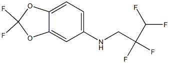 2,2-difluoro-N-(2,2,3,3-tetrafluoropropyl)-2H-1,3-benzodioxol-5-amine Struktur