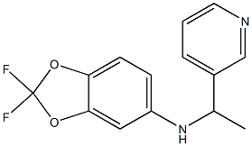 2,2-difluoro-N-[1-(pyridin-3-yl)ethyl]-2H-1,3-benzodioxol-5-amine Struktur