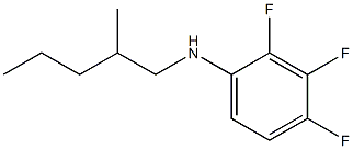 2,3,4-trifluoro-N-(2-methylpentyl)aniline Struktur