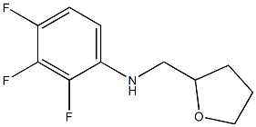 2,3,4-trifluoro-N-(oxolan-2-ylmethyl)aniline Struktur