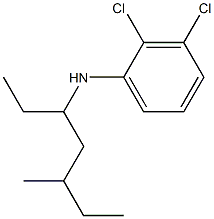 2,3-dichloro-N-(5-methylheptan-3-yl)aniline Struktur