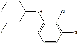 2,3-dichloro-N-(heptan-4-yl)aniline Struktur