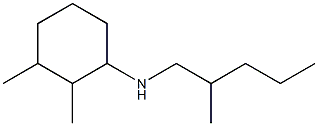 2,3-dimethyl-N-(2-methylpentyl)cyclohexan-1-amine Struktur