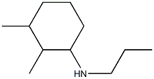 2,3-dimethyl-N-propylcyclohexan-1-amine Struktur