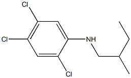 2,4,5-trichloro-N-(2-methylbutyl)aniline Struktur