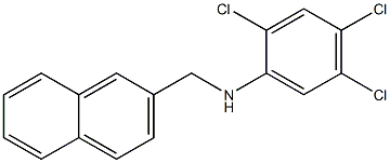 2,4,5-trichloro-N-(naphthalen-2-ylmethyl)aniline Struktur