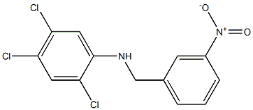 2,4,5-trichloro-N-[(3-nitrophenyl)methyl]aniline Struktur