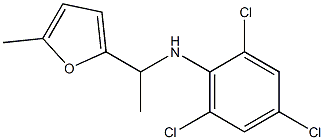 2,4,6-trichloro-N-[1-(5-methylfuran-2-yl)ethyl]aniline Struktur