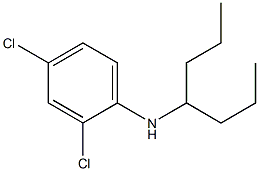 2,4-dichloro-N-(heptan-4-yl)aniline Struktur