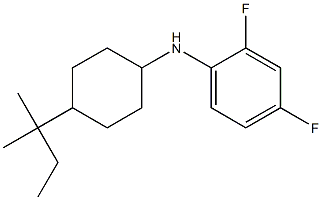 2,4-difluoro-N-[4-(2-methylbutan-2-yl)cyclohexyl]aniline Struktur