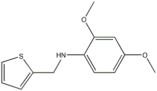 2,4-dimethoxy-N-(thiophen-2-ylmethyl)aniline Struktur