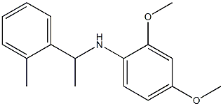 2,4-dimethoxy-N-[1-(2-methylphenyl)ethyl]aniline Struktur