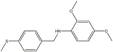 2,4-dimethoxy-N-{[4-(methylsulfanyl)phenyl]methyl}aniline Struktur