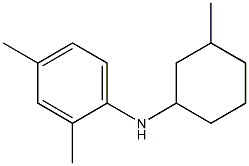 2,4-dimethyl-N-(3-methylcyclohexyl)aniline Struktur