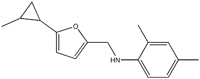 2,4-dimethyl-N-{[5-(2-methylcyclopropyl)furan-2-yl]methyl}aniline Struktur