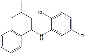 2,5-dichloro-N-(3-methyl-1-phenylbutyl)aniline Struktur