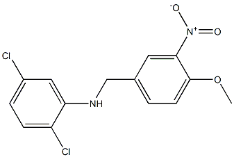 2,5-dichloro-N-[(4-methoxy-3-nitrophenyl)methyl]aniline Struktur