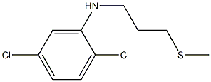 2,5-dichloro-N-[3-(methylsulfanyl)propyl]aniline Struktur