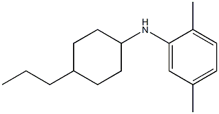 2,5-dimethyl-N-(4-propylcyclohexyl)aniline Struktur